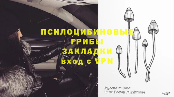 mdpv Ельня