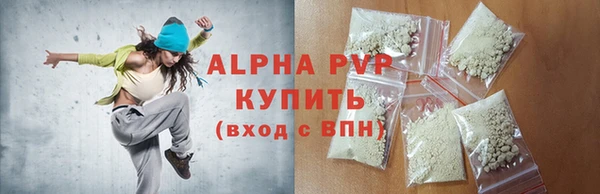 стаф Елизово