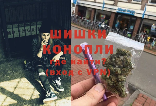 стаф Елизово
