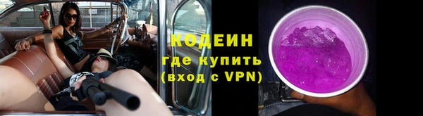 стаф Елизово