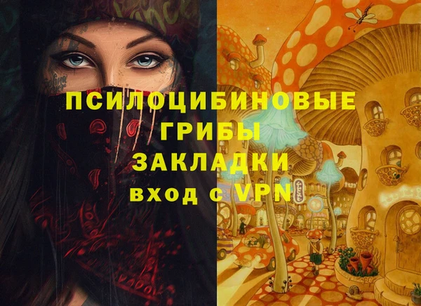 бутират Елабуга