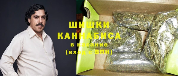 mdpv Ельня
