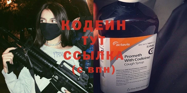 стаф Елизово