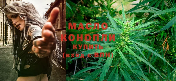 mdpv Ельня